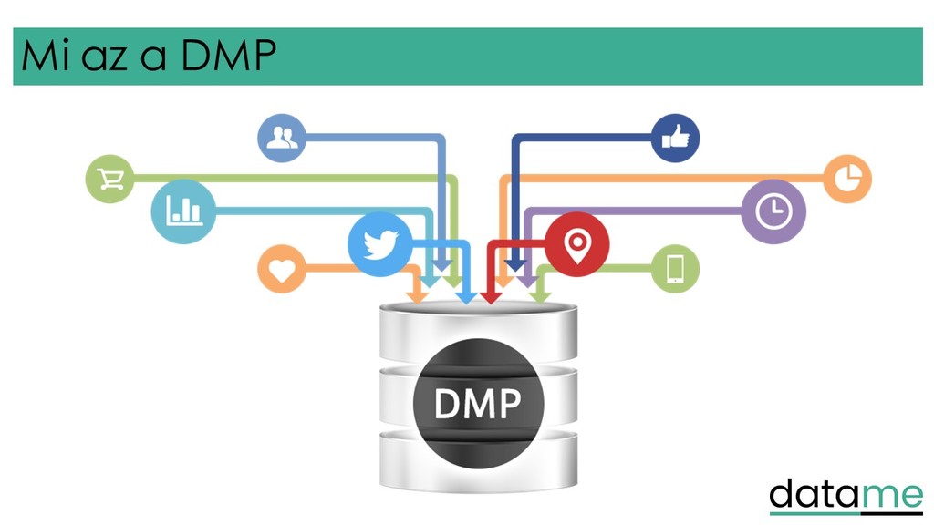 Dmp чем открыть. DMP. DMP модель.